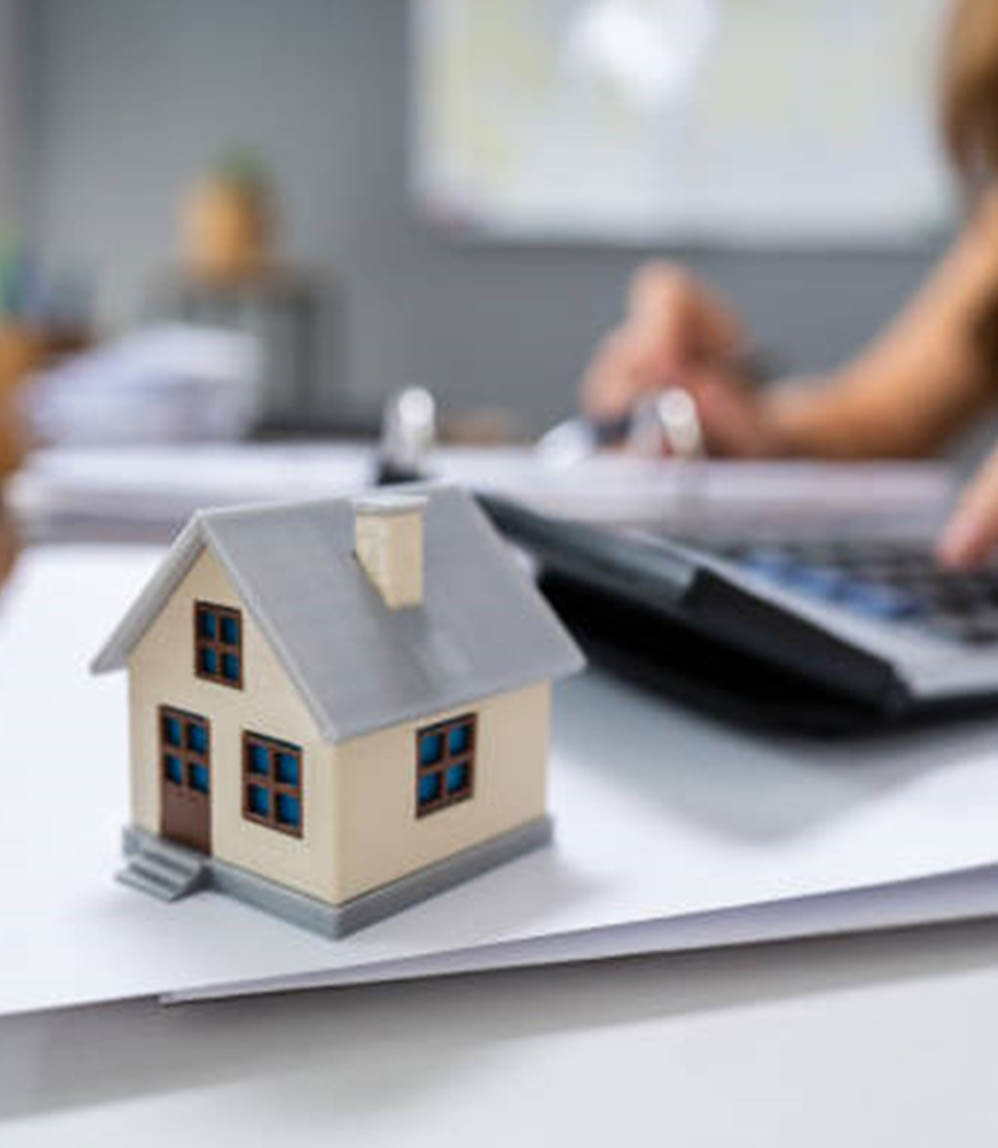 PROFFESSIONNELS_IMMOBILIERS_LMGS PROFFESSIONNELS_IMMOBILIERS_LMGS